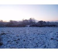 UK Photo Print A4 / 12"x8" Three Forests Way Loughton/TQ4396 Roding Valley Meadows Nature c2009