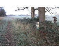UK Photo Print A4 / 12"x8" Three way split in the path Longdon/SO8336 All three rights of c2010