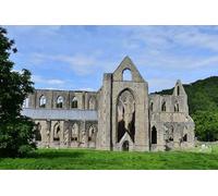 UK Photo Print A4 / 12"x8" Tintern Abbey: The towering south transept Chapel Hill/SO5200 c2015