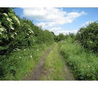 UK Photo Print A4 / 12"x8" Track leading to Sutton Sutton/SK8752 Before 18th century turn c2010