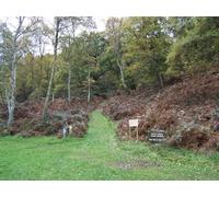 UK Photo Print A4 / 12"x8" Track Through Brocton Coppice Brocton/SJ9619 c2010