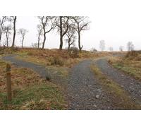UK Photo Print A4 / 12"x8" Trails in Knockman Wood Challoch/NX3867 With marker post. c2015
