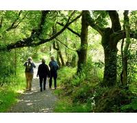 UK Photo Print A4 / 12"x8" Train No. 8 arriving at Devil's Bridge Station Devil's Bridge/ c2015