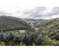 UK Photo Print A4 / 12"x8" Train on Devil's Bridge Railway, Ceredigion Devil's Bridge/Pon c2015