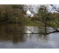 UK Photo Print A4 / 12"x8" Tree View Bebington Mere side property reflected in Raby Mere. c2010