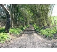 UK Photo Print A4 / 12"x8" Twelve O'Clock Lane looking South Wilmington/ST6962 c2010