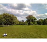 UK Photo Print A4 / 12"x8" Unknown tower block, viewed from Regent's Park Camden Town Look c2010