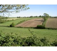 UK Photo Print A4 / 12"x8" Valley between Wall Mead and Northfield Farmed fields on the so c2010 P1