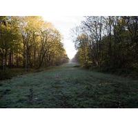 UK Photo Print A4 / 12"x8" View back down the path away from Monument Beadlow This is take c2010