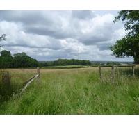 UK Photo Print A4 / 12"x8" View from the footpath near Great Dixter Northiam Passing Great c2014