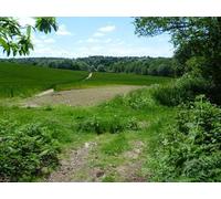 UK Photo Print A4 / 12"x8" View from Willow Wood back to Ide Hill Goathurst Common This fo c2014