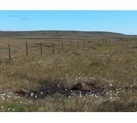 UK Photo Print A4 / 12"x8" View towards Devil's Dike (Pennine Way) from the A57 Doctor's G c2010