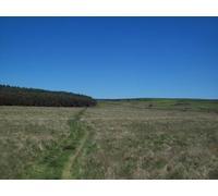 UK Photo Print A4 / 12"x8" View towards Harland Edge and Bunker's Hill Wood Beeley This pi c2010