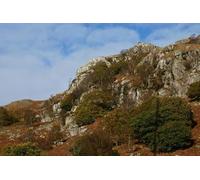 UK Photo Print A4 / 12"x8" View Towards Hollinghead Crag, Eskdale, Cumbria Eskdale Green 2 c2012