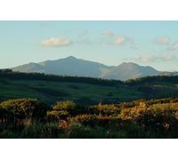 UK Photo Print A4 / 12"x8" View Towards Snowdon, Gwynedd Llandecwyn Looking towards the Sn c2010