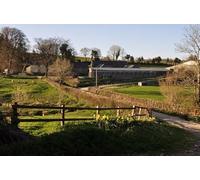 UK Photo Print A4 / 12"x8" West Somerset : Grassy Field & Style Luckwell Bridge A style pr c2015