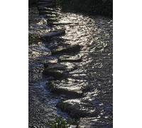 UK Photo Print A4 / 12"x8" West Somerset : The River Barle & Stepping Stones Withypool 2 c2015