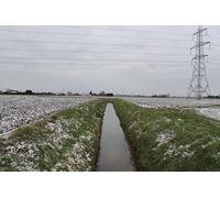 UK Photo Print A4 / 12"x8" Whaplode River (Drain) from Spalding Gate Halesgate c2013