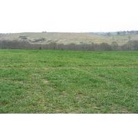 UK Photo Print A4 / 12"x8" Winter cereals at Inveravon Grangemouth The River Avon runs in c2012