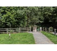 UK Photo Print A4 / 12"x8" Wood Sculpture, Rock Park, Llandrindod Wells, Powys Llandrindod c2013