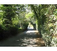 UK Photo Print A4 / 12"x8" Woodlands Drive Yeadon c2010