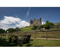 UK Photo Print A4 / 12x8 Castle in the zoo Dudley/SO9390 Dudley castle is situated in t c2015