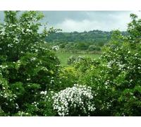 UK Photo Print A4 / 12x8 To Salterforth Earby Taken from the 872 Skipton-bound bus at th c2013