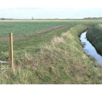 UK Photo Print A4 / 12x8 Waymarked path East Ferry Good clear markers along the footpath c2011