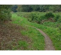 UK Photo Print A4 / 12x8 Wey and Arun canal path Bramley/TQ0044 The footpath along the c2014