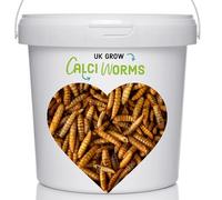 UK Premium Dried Calci Worms 5L Bucket - UK GROW
