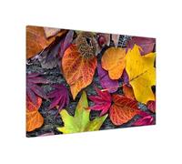 UK Print House Falling Colours Autumn Leaves Floral Canvas Wall Art - Elegant Flower Prints for Bedroom, Hallway, Living Room Decor Large (102 x 76 cm - 40" x 30" inch)