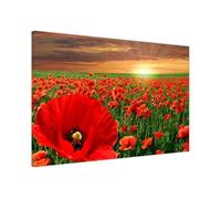 UK Print House Sunset Poppy Field 3 Words Floral Canvas Wall Art - Elegant Flower Prints for Bedroom, Hallway, Living Room Decor Large (102 x 76 cm - 40" x 30" inch)