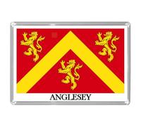 UK SCOTLAND & WALES - SCOTTISH & WELSH HISTORIC COUNTY FLAGS Fridge Magnets