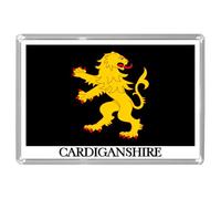 UK SCOTLAND & WALES - SCOTTISH & WELSH HISTORIC COUNTY FLAGS Fridge Magnets