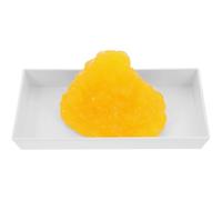 UKCOCO 1-pound Body Fat Model with Base Human Body Fat Display for Teaching and Fitness Education Anatomical Tissue Demonstration Model for Science Students and Nutrition Training