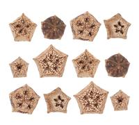 UKCOCO 12pcs Natural Parrot Chew for Small Birds, Parakeet Foraging Treats with 2-3cm Cut Pieces, Healthy Wooden Bird for Cockatiel Budgie Pet Enrichment and Beak Grinding