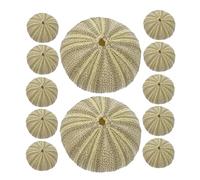 UKCOCO 18pcs Sea Urchin Shells for Aquarium Landscaping and Craft Materials, Natural Green Shell Decorative Items for Artistic Touch and Cozy Environment in Commercial Spaces