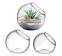 UKCOCO 3 Pcs Glass Terrarium Bowls Decorative Planters for Air Plants Succulents and Hydroponics for Home and Office Decoration