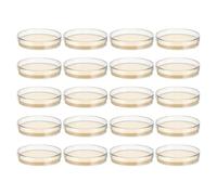 UKCOCO 30pcs Ready-to-use Nutrient Agar Plates 7cm Petri Dishes for Laboratory and Classroom Science Experiments with Agar Material Supporting Healthy Culture Growth and Repeatable