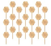 UKCOCO 40pcs Insert Labels Gardening Label for Plants Flower Beds Greenhouses Wooden Material Khaki Color Modern Style Design Can Be Inserted into Soil Or Ground Mark Types for Gardeners