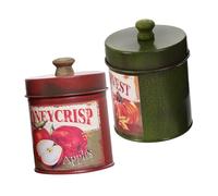 UKCOCO Decorative Iron Tin Buckets 2Pcs with Lids Vintage Storage Canisters for Home Tabletop and Porch