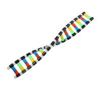 UKCOCO DNA Double Helix Model Kit for Students Educational Molecular Structure Teaching Tool Science Model for Biology Classes DIY DNA Structure Assembly