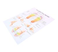 UKCOCO Foot Reflexology Map 15.7X11.8 Inch Informative Poster for Medical Students and Examination Room Use
