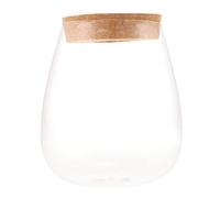 UKCOCO Glass Hydroponic Plant Terrarium Bottle with Compact Size and Smooth Surface for Indoor Gardening and Decorative Use