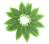 UKCOCO Hawaiian Grass Skirt Tassel Dress Festival Decor Cosplay Accessory for Luau Party Halloween Performance Waist Green Floral Design