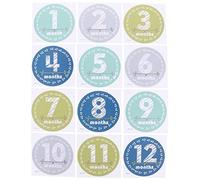 UKCOCO Milestone Set Photo Commemorating Baby's Baby Milestones and Year in First Albums Sticker Prop for Paper Material for Recording Props, Boys Girls