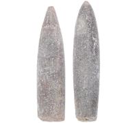 UKCOCO Natural Belemnite Specimens 2Pcs Mineral for Geology and Paleontology Study Home Display Collection