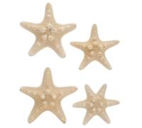 UKCOCO Natural Shell Conch Ornaments 4 Pieces 3.15×3.15×1.18 Inch White Seashell - Authentic Coastal Decor for Wall Landscaping, Wedding Setup, DIY Crafts - for Home, Garden, Collectors