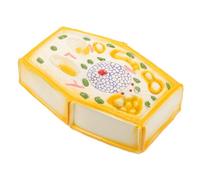 UKCOCO Plant Cell Anatomical Model Educational Tool for Middle School Biology Detailed Structure Display for Classroom Teaching for Students and Teachers