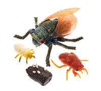 UKCOCO Simulation Cicada Growth Cycle Model Educational Evolution Craft for Realistic for Nature Exploration Engaging Science Learning